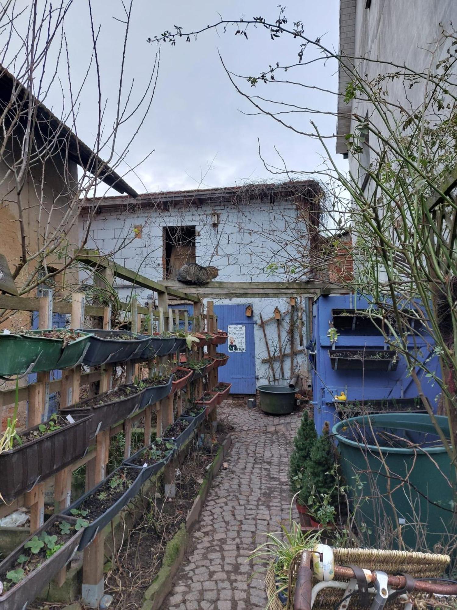 Bauernhof Privatzimmer Hortus Sandrine Gemeinschaftsbad Free Wifi Hausbreitenbach المظهر الخارجي الصورة